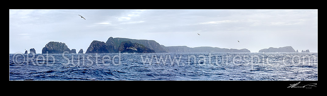 Image of The Snares Islands in stormy weather with flying seabirds. Western Promontory left, Alert Stack (83m) centre left, Broughton Island far right. Panorama, Snares Islands, NZ Sub Antarctic District, NZ Sub Antarctic Region, New Zealand (NZ) stock photo image