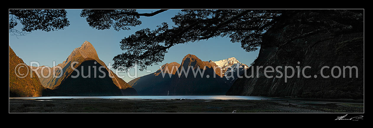 Image of Milford Sound at dawn. Mitre Peak left (1683m), Stirling Falls and The Lion centre, with Mount Pembroke (2015m) with snow. Panorama, Milford Sound, Fiordland National Park, Southland District, Southland Region, New Zealand (NZ) stock photo image