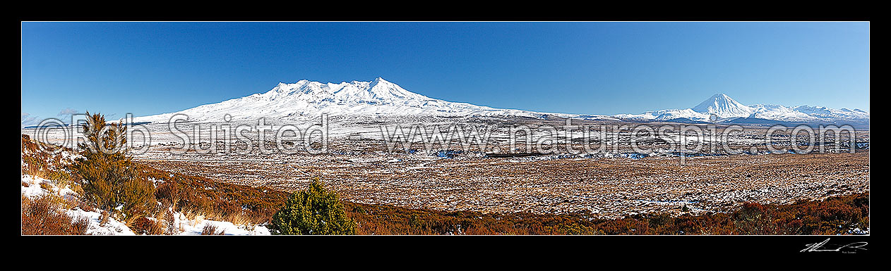 Image of Mount Ruapehu (2797m-left), Mt Ngauruhoe (2287m) and Mt Tongariro (1967m) (right), with snow covered Rangipo desert and volcanic plateau. Panorama, Tongariro National Park, Taupo District, Waikato Region, New Zealand (NZ) stock photo image