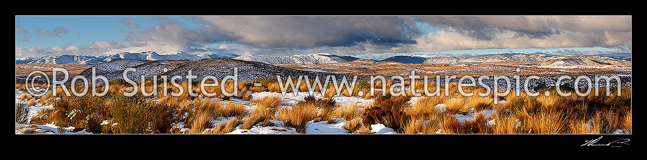 Image of Desert Road winter panorama looking across the Moawhango Army tussocklands with snow in the red tussock grasses (Chionochloa rubra). Kaimanawa Mountains and Rangitikei beyond, Waiouru, Ruapehu District, Manawatu-Wanganui Region, New Zealand (NZ) stock photo image