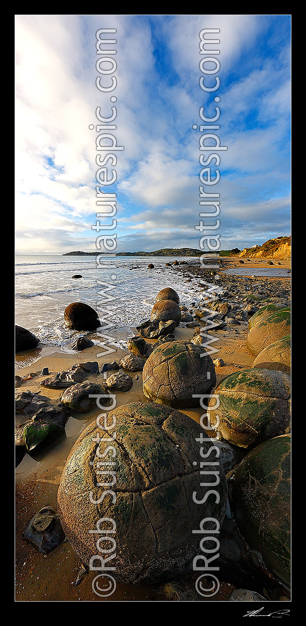 Image of Moeraki Boulders / Kaihinaki on Koekohe Beach. 60 Million year old mudstone concretions. Moeraki Township beyond. Vertical panorama, Moeraki, Waitaki District, Otago Region, New Zealand (NZ) stock photo image