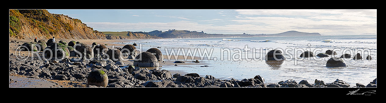 Image of Moeraki Boulders / Kaihinaki on Koekohe Beach. 60 Million year old mudstone concretions. Lookout Bluff beyond. Panorama, Moeraki, Waitaki District, Otago Region, New Zealand (NZ) stock photo image