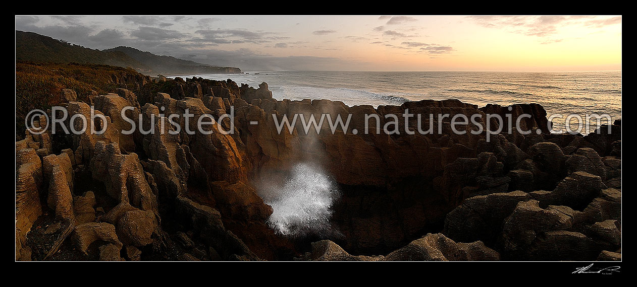 Image of Pancake rocks and blowhole in action at Dolomite Point coastline. Paparoa National Park. 30 million year old alternating layers of eroded limestone. Panorama, Punakaiki, Buller District, West Coast Region, New Zealand (NZ) stock photo image