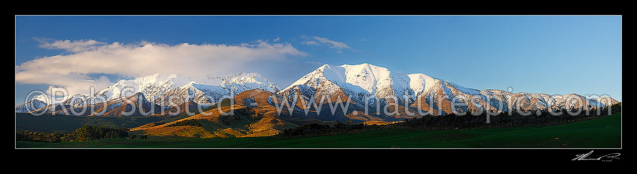 Image of Takitimu Mountains - winter snow covered ranges at dusk between Tuatapere and Manapouri, Blackmount, Southland District, Southland Region, New Zealand (NZ) stock photo image