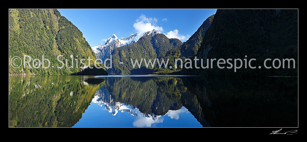 Image of Doubtful Sound, Hall Arm winter reflections. Snow covered Mount Danae (1495m) centre. Fiordland National Park. Panorama, Doubtful Sound, Fiordland, Southland District, Southland Region, New Zealand (NZ) stock photo image