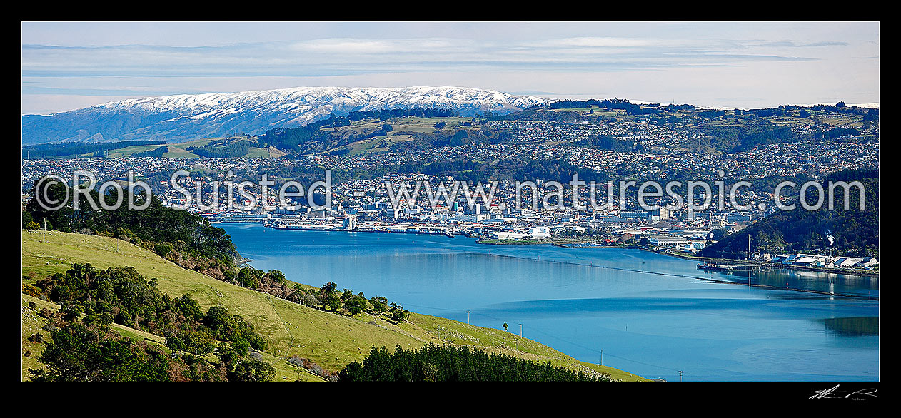 Image of Dunedin City panorama, looking up Otago Harbour toward the City, Dunedin City, Dunedin City District, Otago Region, New Zealand (NZ) stock photo image