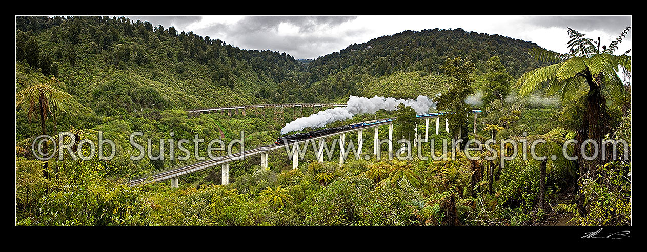 Image of Hapuawhenua Viaducts, historic and modern, with steam locomotives and train crossing. North Island Main Trunk Railway Line Centenary celebrations. Tongariro National Park. Panorama, Ohakune, Ruapehu District, Manawatu-Wanganui Region, New Zealand (NZ) stock photo image