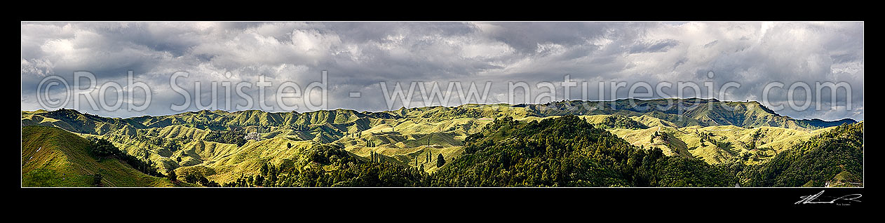 Image of Rolling hill farm country near Mangaweka with native bush and forest, below moody overcast skies. Panorama, Mangaweka, Rangitikei District, Manawatu-Wanganui Region, New Zealand (NZ) stock photo image