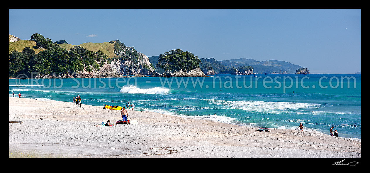 Image of Whiritoa Beach panorama scene with people enjoying swimming, surfing, walking, sunbathing and kayaking in summer warmth. Coromandel Peninsula, Whiritoa, Hauraki District, Waikato Region, New Zealand (NZ) stock photo image