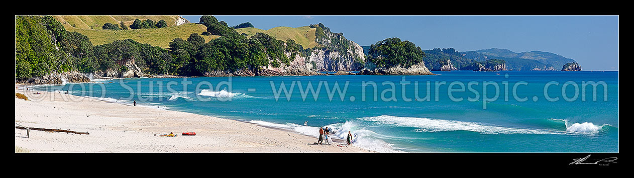 Image of Whiritoa Beach panorama scene with people enjoying swimming, surfing, walking, sunbathing and kayaking in summer warmth. Coromandel Peninsula, Whiritoa, Hauraki District, Waikato Region, New Zealand (NZ) stock photo image