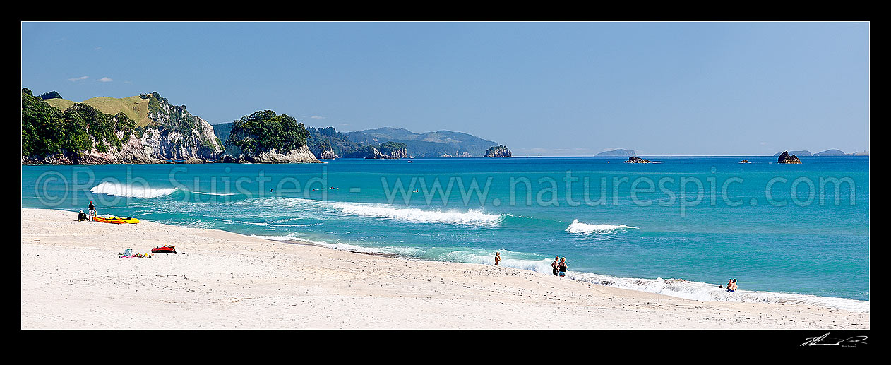 Image of Whiritoa Beach panorama scene with people enjoying swimming, surfing, walking, sunbathing and kayaking in summer warmth. Coromandel Peninsula, Whiritoa, Hauraki District, Waikato Region, New Zealand (NZ) stock photo image