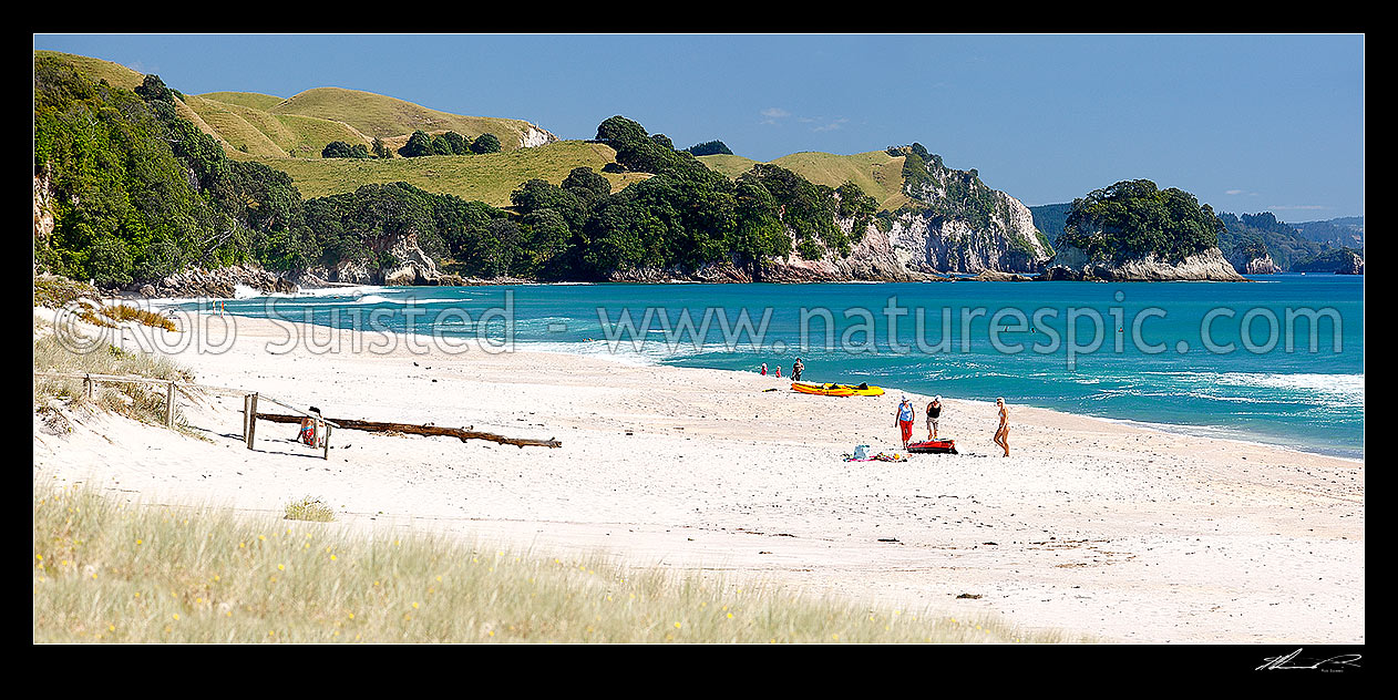 Image of Whiritoa Beach panorama scene with people enjoying swimming, surfing, walking, sunbathing and kayaking in summer warmth. Coromandel Peninsula, Whiritoa, Hauraki District, Waikato Region, New Zealand (NZ) stock photo image