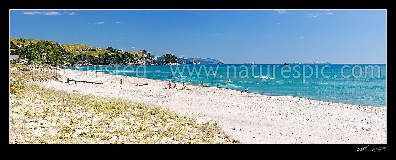 Image of Whiritoa Beach panorama scene with people enjoying swimming, surfing, walking, sunbathing and kayaking in summer warmth. Coromandel Peninsula, Whiritoa, Hauraki District, Waikato Region, New Zealand (NZ) stock photo image