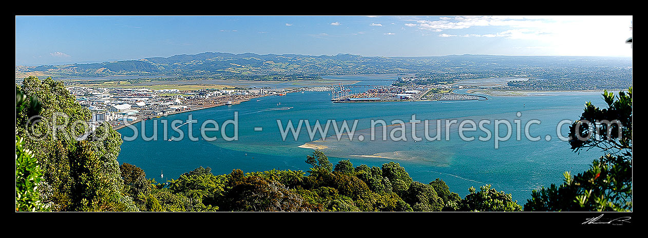 Image of Tauranga Harbour and Port panorama. Mount Maunganui left, Tauranga centre and right. Mamaku Ranges behind, Mount Maunganui, Tauranga District, Bay of Plenty Region, New Zealand (NZ) stock photo image