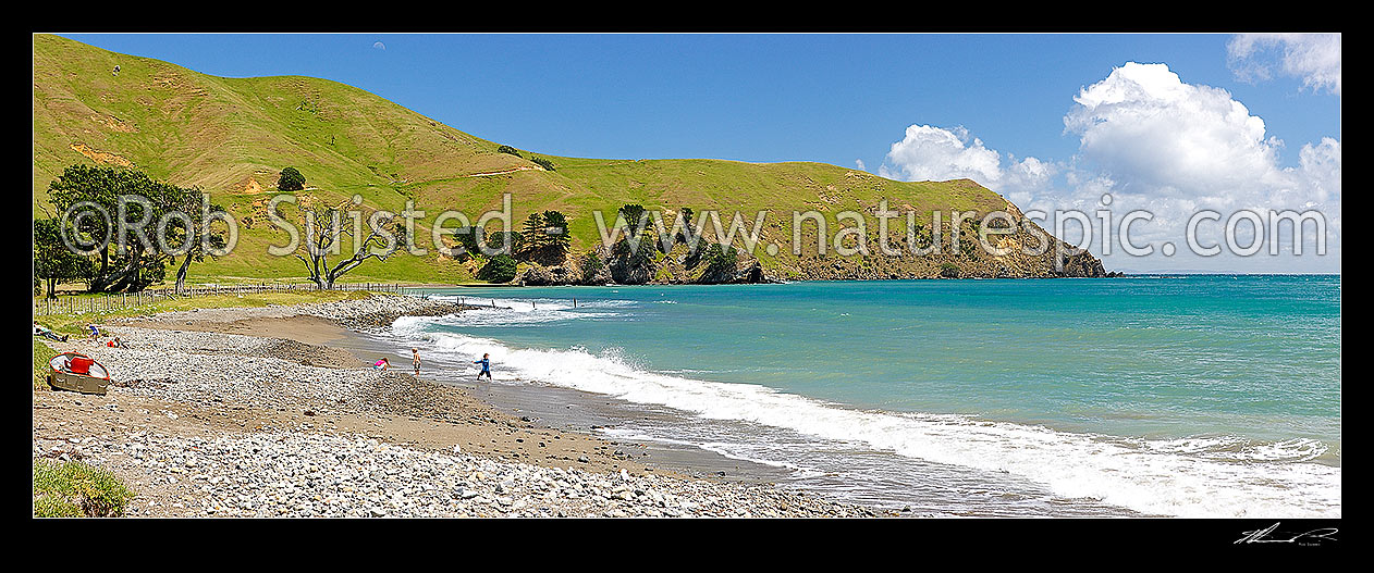 Image of Port Jackson beach with Kaiiti Point beyond. Family with children playing in surf in summertime. Panorama, Cape Colville, Thames-Coromandel District, Waikato Region, New Zealand (NZ) stock photo image