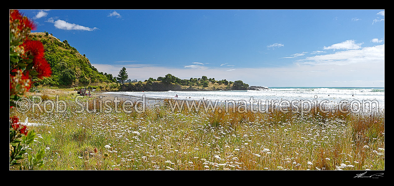 Image of Onepoto Bay and Beach with family swimming and bodyboarding in surf. Summertime panorama with flowering pohutukawa, Hicks Bay, Gisborne District, Gisborne Region, New Zealand (NZ) stock photo image