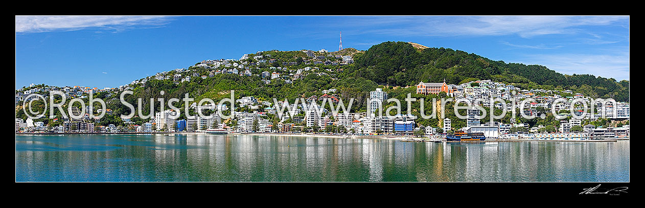 Image of Wellington City panorama looking towards Oriental Bay beach and Mount Victoria from harbour. Saint Gerards Monastery on hill, Wellington, Wellington City District, Wellington Region, New Zealand (NZ) stock photo image