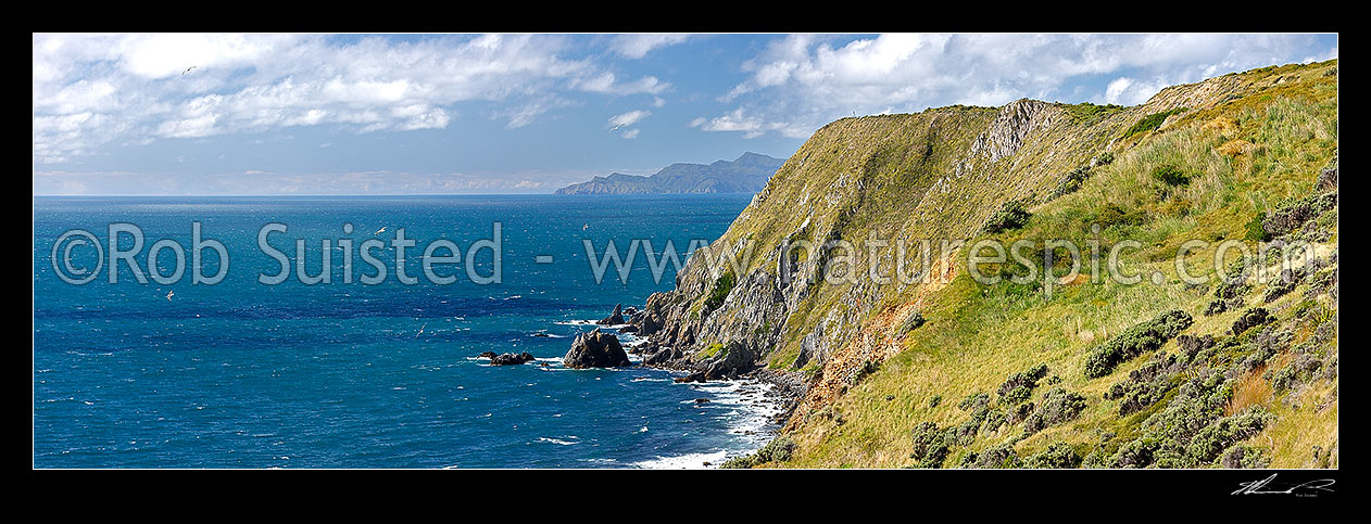 Image of Mana Island western coastline and cliffs, looking north to Kapiti Island. Mana Island Scientific Reserve panorama, Mana Island, Porirua City District, Wellington Region, New Zealand (NZ) stock photo image