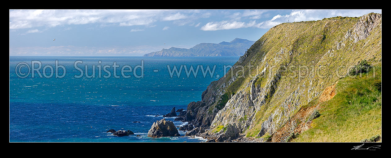 Image of Mana Island western coastline and cliffs, looking north to Kapiti Island. Mana Island Scientific Reserve panorama, Mana Island, Porirua City District, Wellington Region, New Zealand (NZ) stock photo image