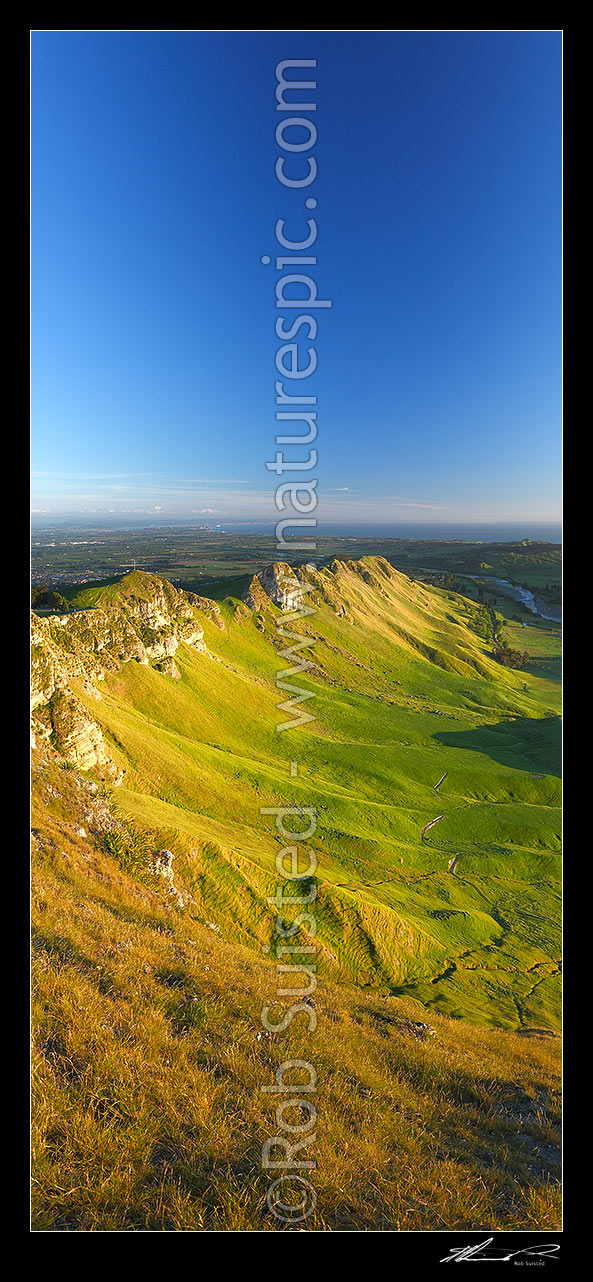 Image of Sunrise on Te Mata Peak (399m). Overlooking Hawke Bay and the Tukituki River with Napier far left. Vertical panorama, Hawke's Bay, Hastings District, Hawke's Bay Region, New Zealand (NZ) stock photo image