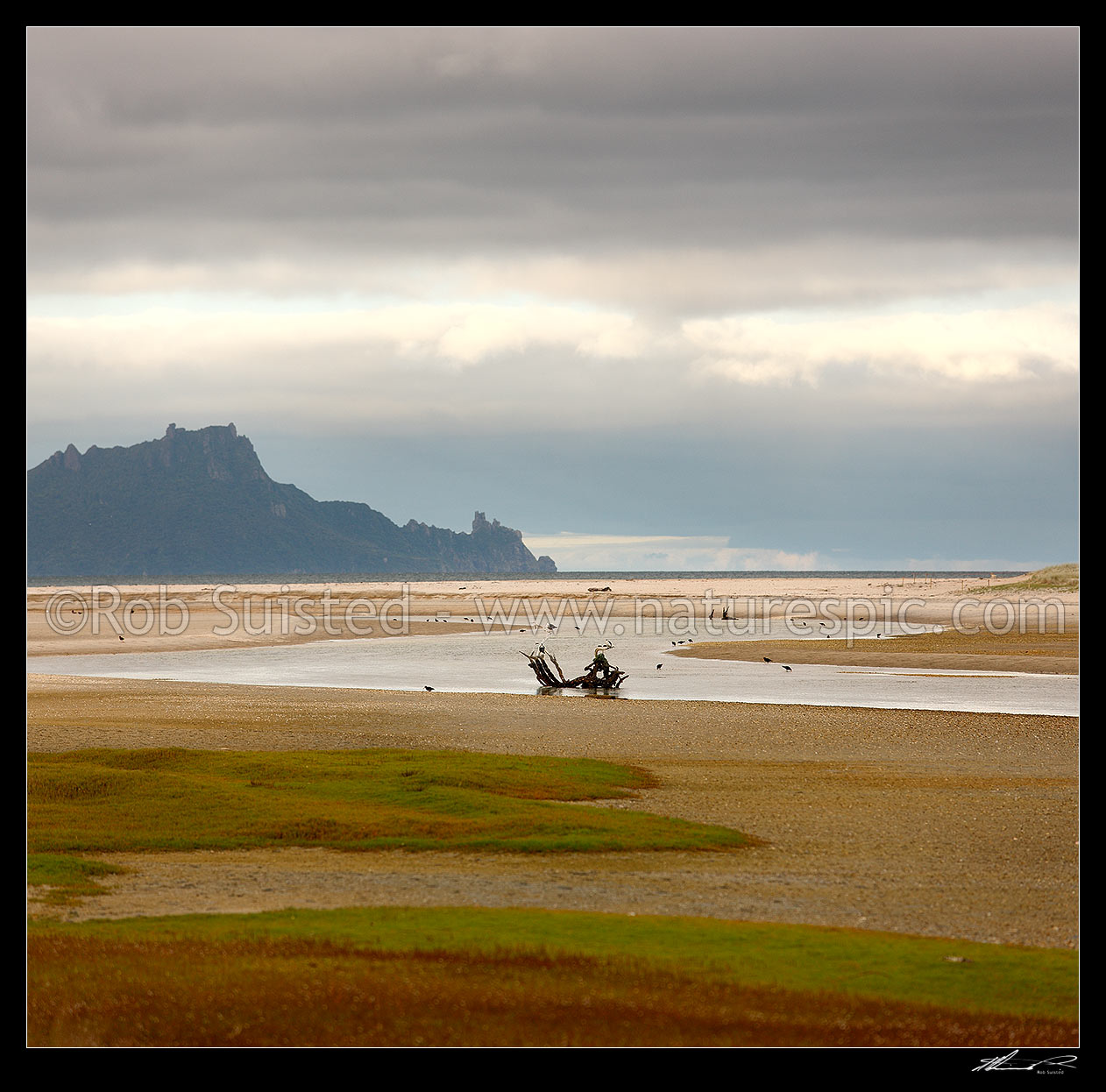 Image of Rugged Bream Head viewed over the Waipu Estuary and river mouth, and Bream Bay. Square format, Waipu, Whangarei District, Northland Region, New Zealand (NZ) stock photo image