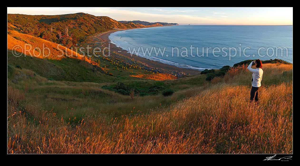 Image of Port Awanui and Te Wharau Beach sunrise. East Cape and East Island (Whangaokeno) visible in distance. Panorama, Port Awanui, East Coast, Gisborne District, Gisborne Region, New Zealand (NZ) stock photo image