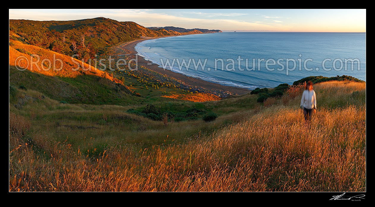 Image of Port Awanui and Te Wharau Beach sunrise. East Cape and East Island (Whangaokeno) visible in distance. Panorama, Port Awanui, East Coast, Gisborne District, Gisborne Region, New Zealand (NZ) stock photo image