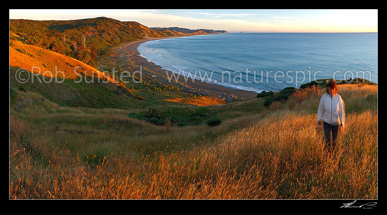 Image of Port Awanui and Te Wharau Beach sunrise. East Cape and East Island (Whangaokeno) visible in distance. Panorama, Port Awanui, East Coast, Gisborne District, Gisborne Region, New Zealand (NZ) stock photo image