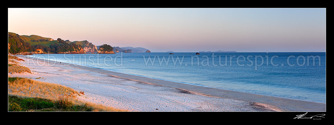 Image of Whiritoa Beach panorama at sunrise. Coromandel Peninsula. Panorama, Whiritoa Beach, Thames-Coromandel District, Waikato Region, New Zealand (NZ) stock photo image