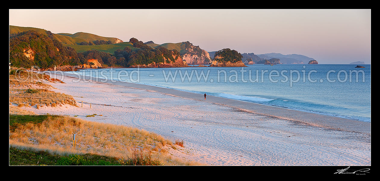 Image of Whiritoa Beach panorama at sunrise with person jogging along foreshore. Coromandel Peninsula. Panorama, Whiritoa Beach, Thames-Coromandel District, Waikato Region, New Zealand (NZ) stock photo image