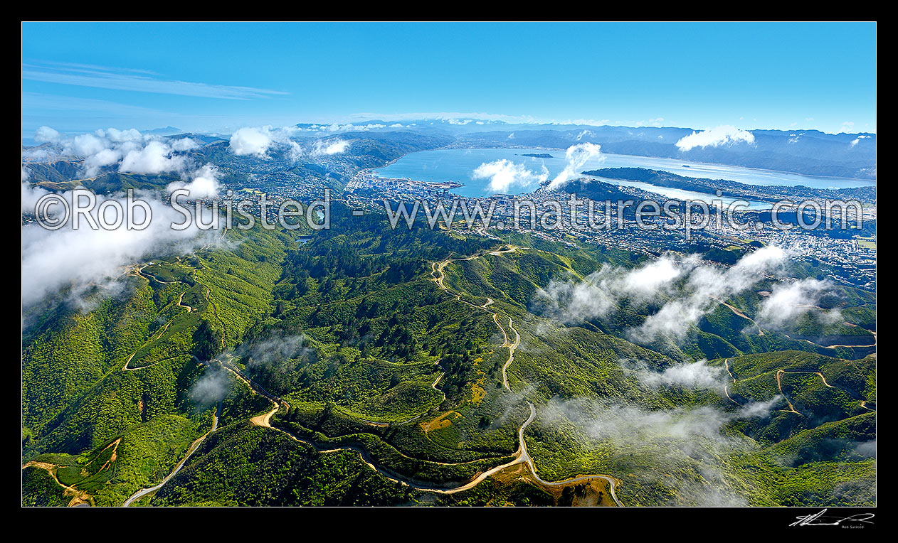 Image of Wellington City aerial view panorama. Karori Sanctuary Zealandia left, City and Harbour centre, Airport right. Wind turbine centre below. Earthquake faultline visible along left of harbour, Wellington City, Wellington City District, Wellington Region, New Zealand (NZ) stock photo image