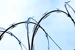 Razorwire security fence