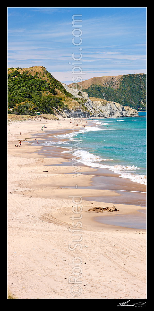 Image of Wainui Beach summer vertical panorama. Makarori Point beyond, Wainui Beach, Gisborne District, Gisborne Region, New Zealand (NZ) stock photo image