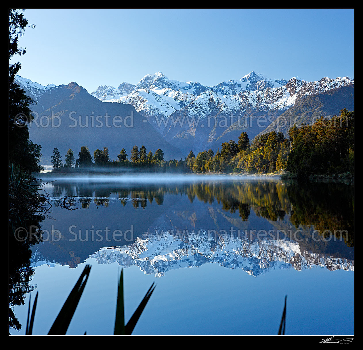 Image of Lake Matheson. Morning calm reflections on lake with Aoraki / Mount Cook (right;3754m) and Mount Tasman (left;3498m). Square format. South Westland, Westland National Park, Westland District, West Coast Region, New Zealand (NZ) stock photo image