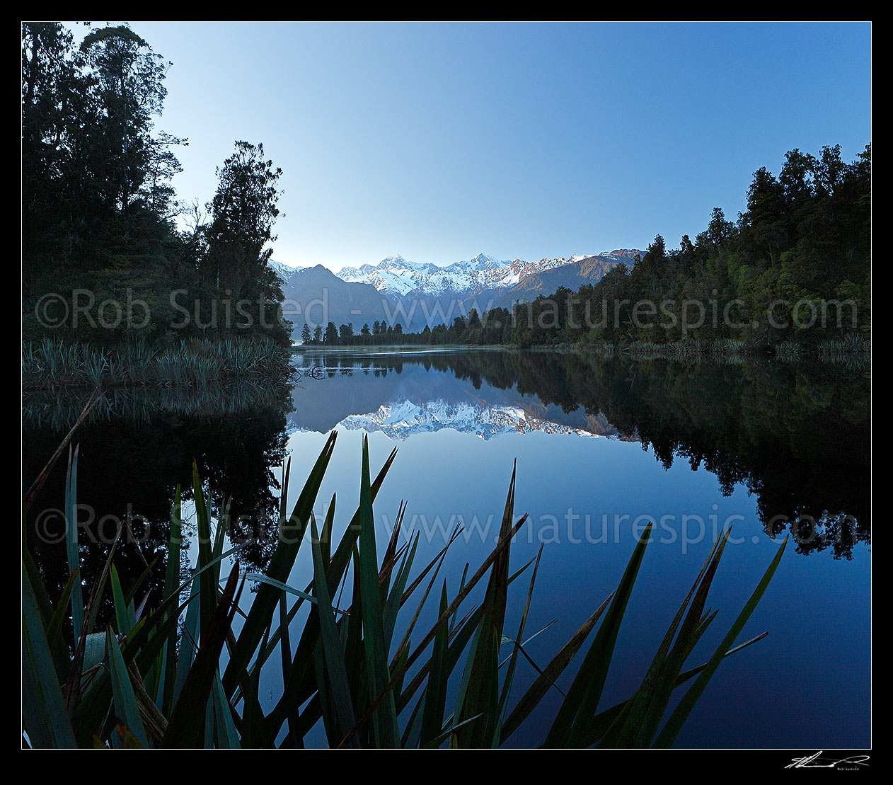 Image of Lake Matheson. Morning calm reflections on lake with Aoraki / Mount Cook (right;3754m) and Mount Tasman (left;3498m). Square format. South Westland, Westland National Park, Westland District, West Coast Region, New Zealand (NZ) stock photo image