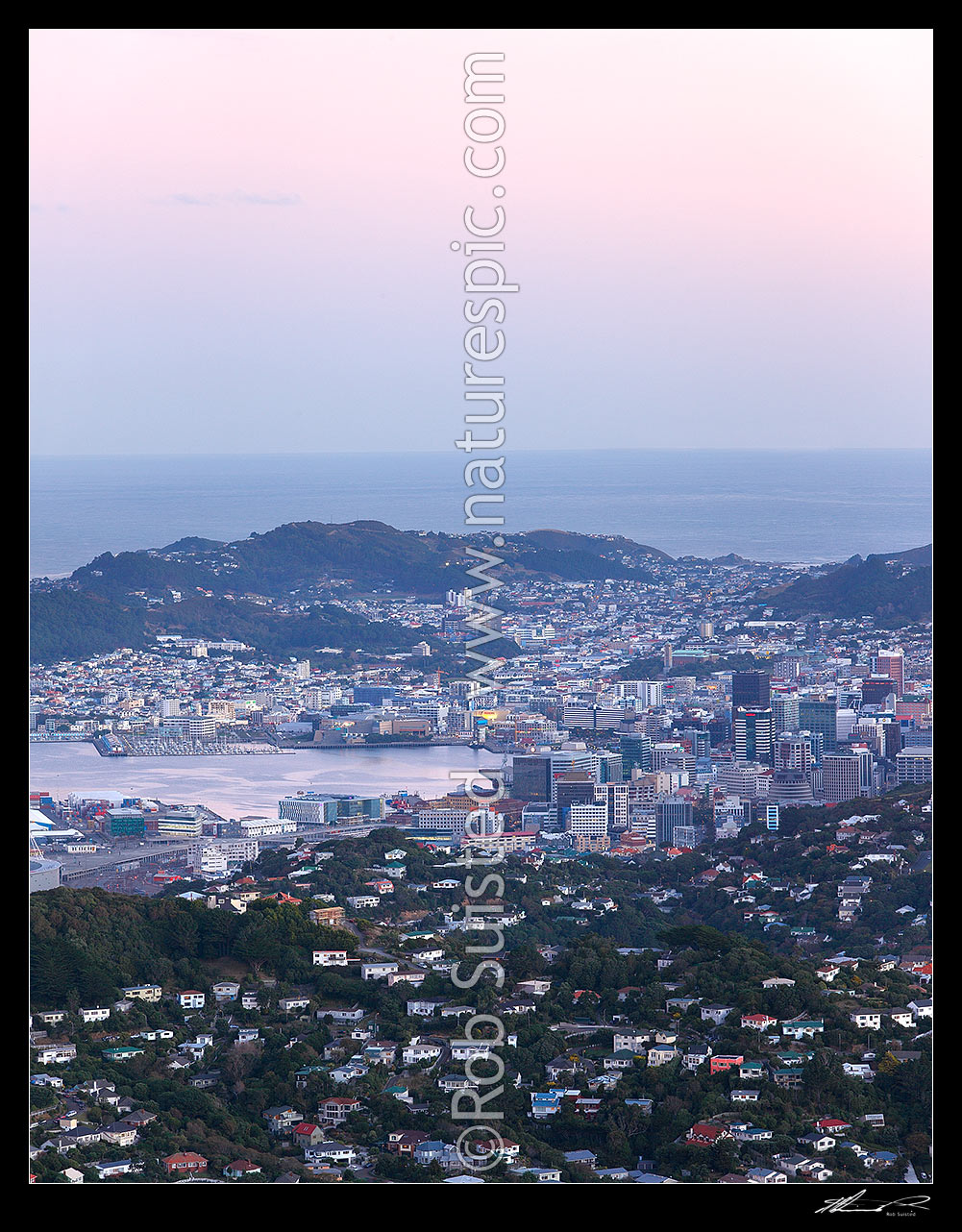 Image of Wellington Harbour and City at twilight with lights glowing. Square format showing Ngaio and Wadestown (front), CBD city and Oriental Bay / Mount Victoria, Cook Strait beyond, Wellington, Wellington City District, Wellington Region, New Zealand (NZ) stock photo image