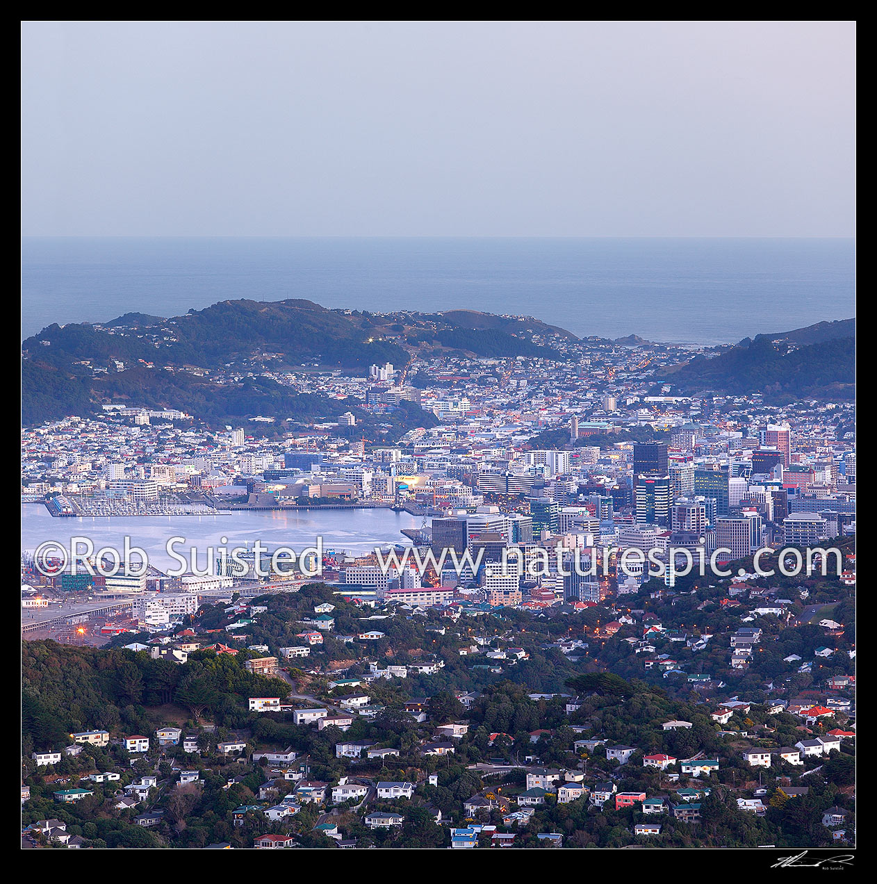 Image of Wellington Harbour and City at twilight with lights glowing. Square format showing Ngaio and Wadestown (front), CBD city and Oriental Bay / Mount Victoria, Cook Strait beyond, Wellington, Wellington City District, Wellington Region, New Zealand (NZ) stock photo image