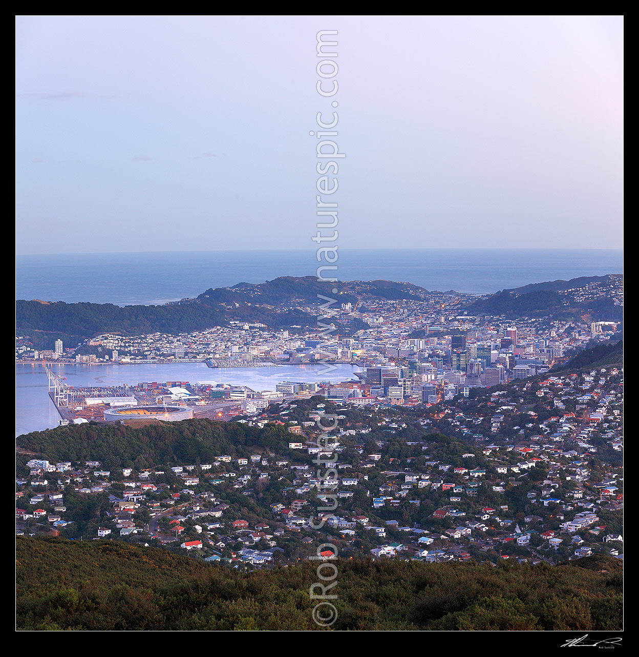 Image of Wellington Harbour and City at twilight with lights glowing. Square format showing Ngaio and Wadestown (front), CBD city and Oriental Bay / Mount Victoria, Cook Strait beyond, Wellington, Wellington City District, Wellington Region, New Zealand (NZ) stock photo image