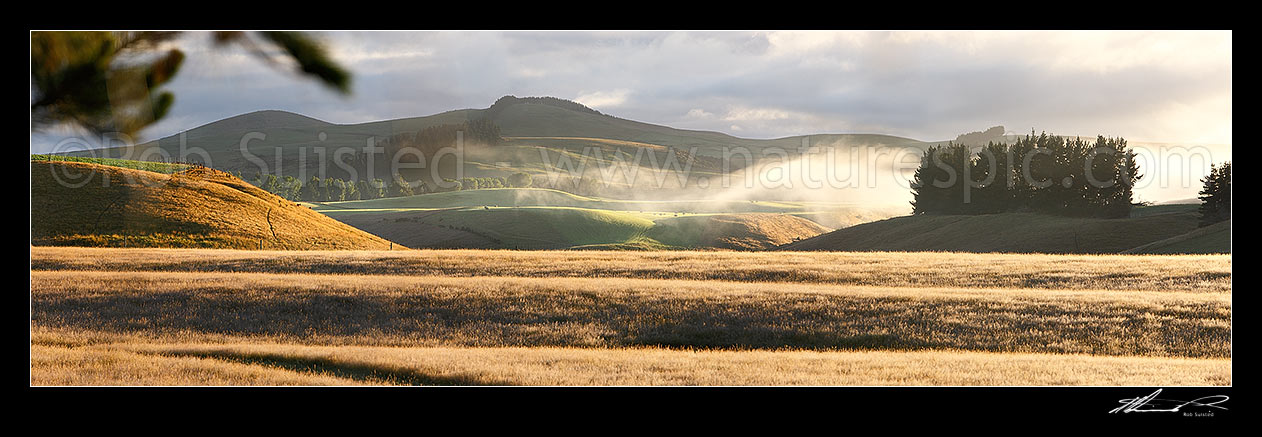 Image of Farmland with early morning mist over rolling hills and pasture at dawn. Panorama, The Key, Te Anau, Southland District, Southland Region, New Zealand (NZ) stock photo image