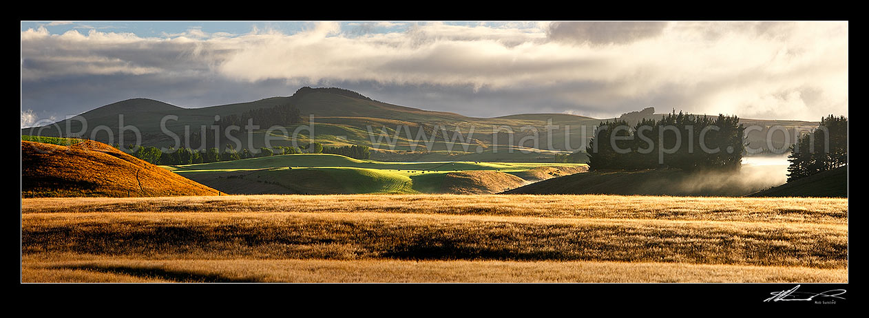 Image of Farmland with early morning mist over rolling hills and pasture at dawn. Panorama, The Key, Te Anau, Southland District, Southland Region, New Zealand (NZ) stock photo image