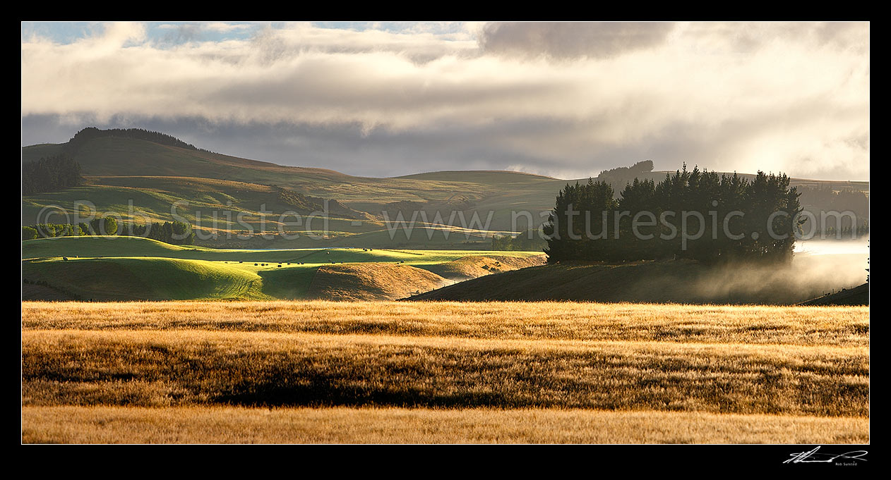 Image of Farmland with early morning mist over rolling hills and pasture at dawn. Panorama, The Key, Te Anau, Southland District, Southland Region, New Zealand (NZ) stock photo image