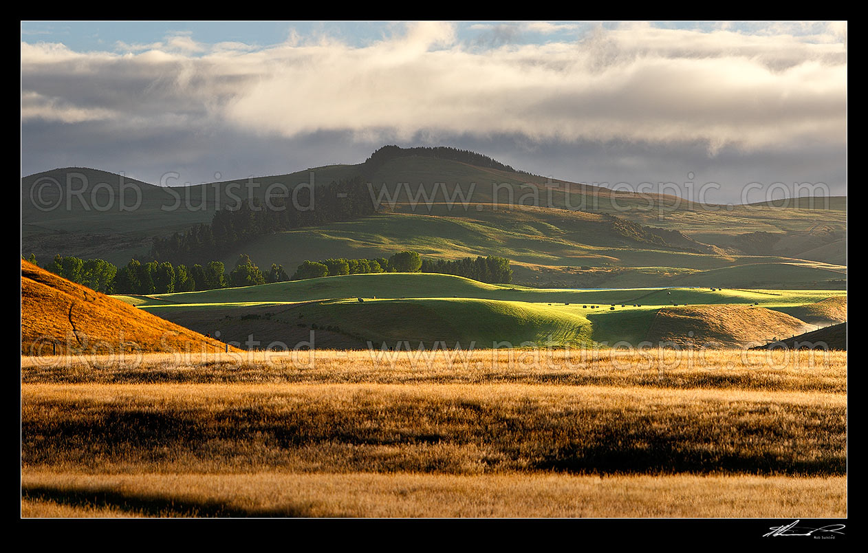 Image of Farmland with early morning mist over rolling hills and pasture at dawn. Panorama, The Key, Te Anau, Southland District, Southland Region, New Zealand (NZ) stock photo image