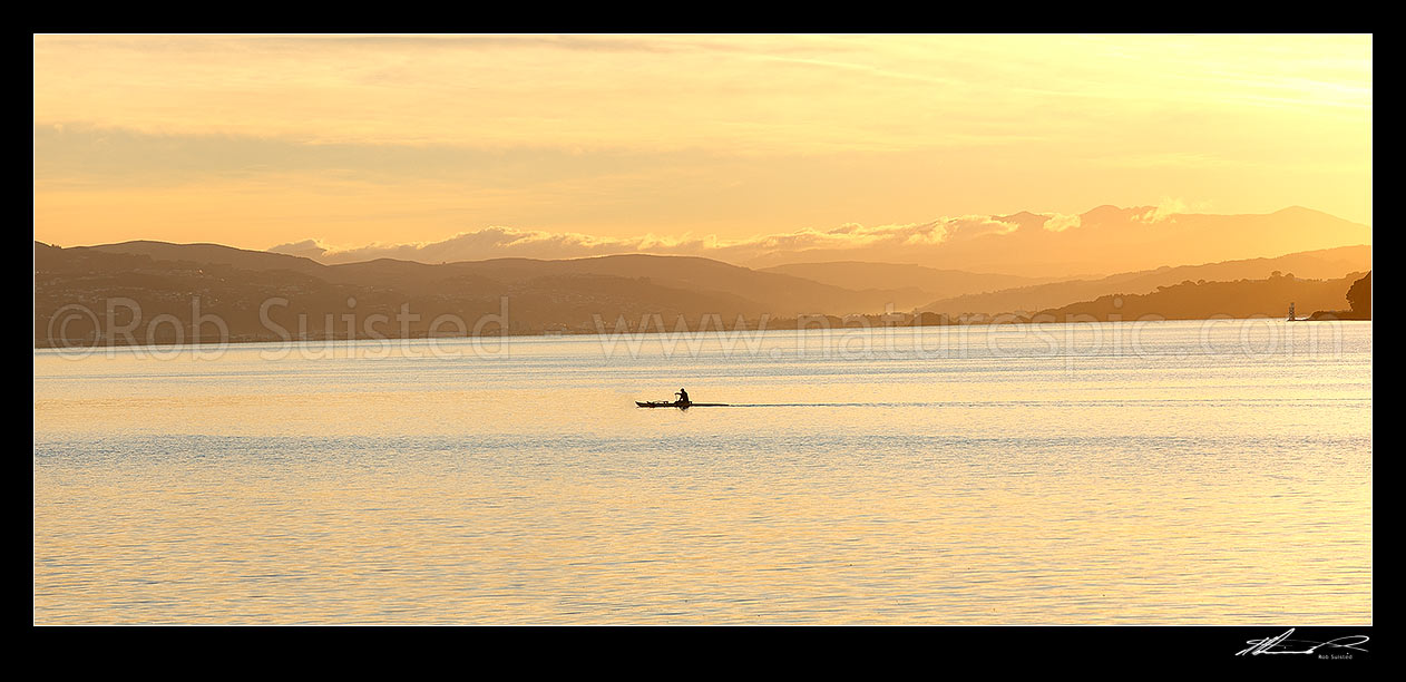 Image of Wellington Harbour with waka ama (outrigger canoe) paddler in front of the Hutt Valley and Tararua Ranges (distant) at dawn. Point Halswell right. Panorama, Wellington, Wellington City District, Wellington Region, New Zealand (NZ) stock photo image