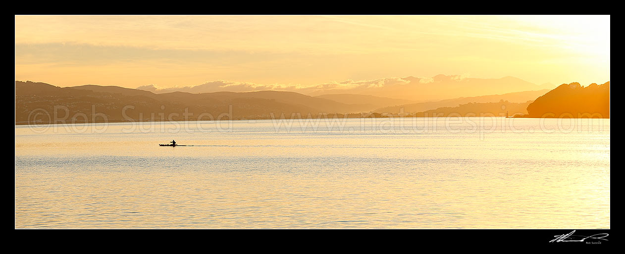 Image of Wellington Harbour with waka ama (outrigger canoe) paddler in front of the Hutt Valley and Tararua Ranges (distant) at dawn. Point Halswell right. Panorama, Wellington, Wellington City District, Wellington Region, New Zealand (NZ) stock photo image