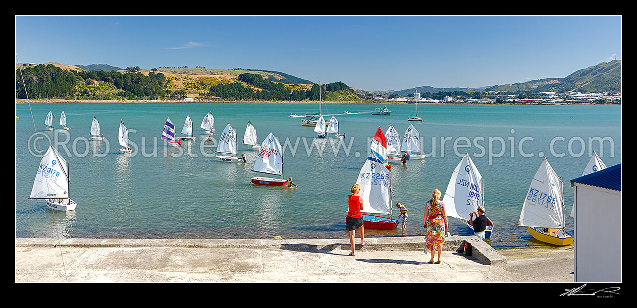 Image of Titahi Bay Boating club optimist class boat racing regatta for young people on Porirua Harbour, with city beyond. Parents looking on. Panorama, Titahi Bay, Porirua City District, Wellington Region, New Zealand (NZ) stock photo image