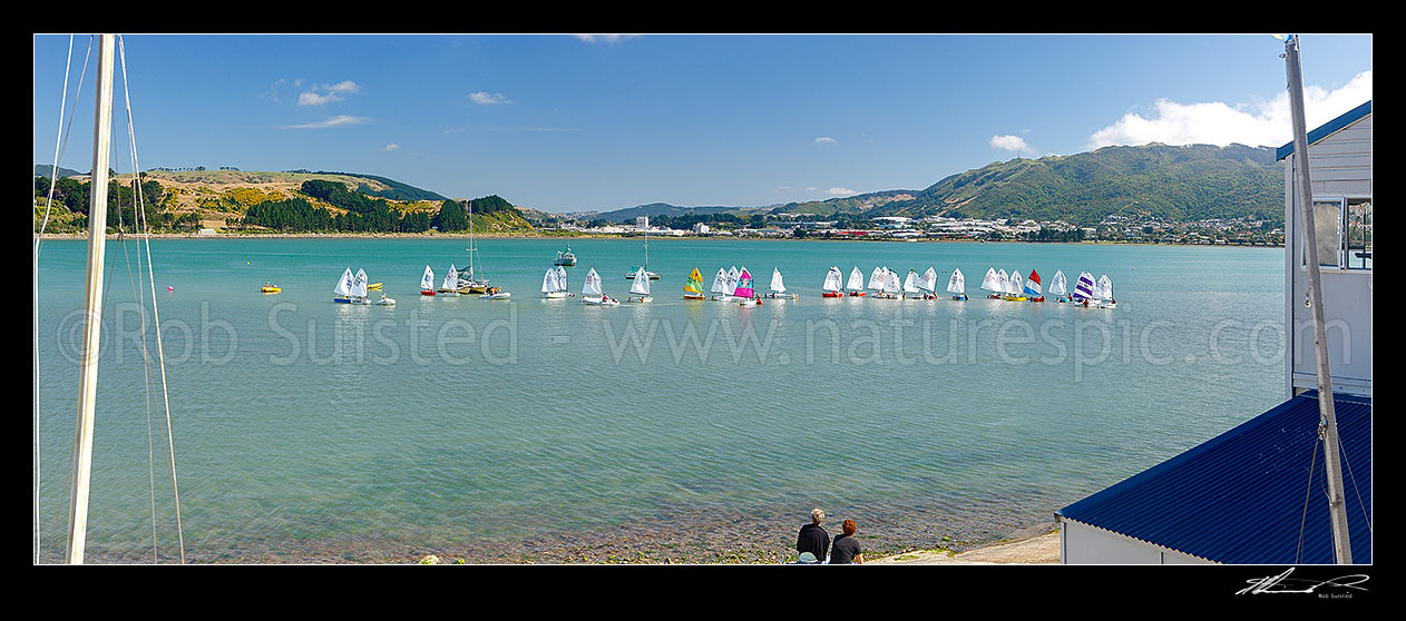 Image of Titahi Bay Boating club optimist class boat racing regatta for young people on Porirua Harbour, with city beyond. Parents looking on. Panorama, Titahi Bay, Porirua City District, Wellington Region, New Zealand (NZ) stock photo image