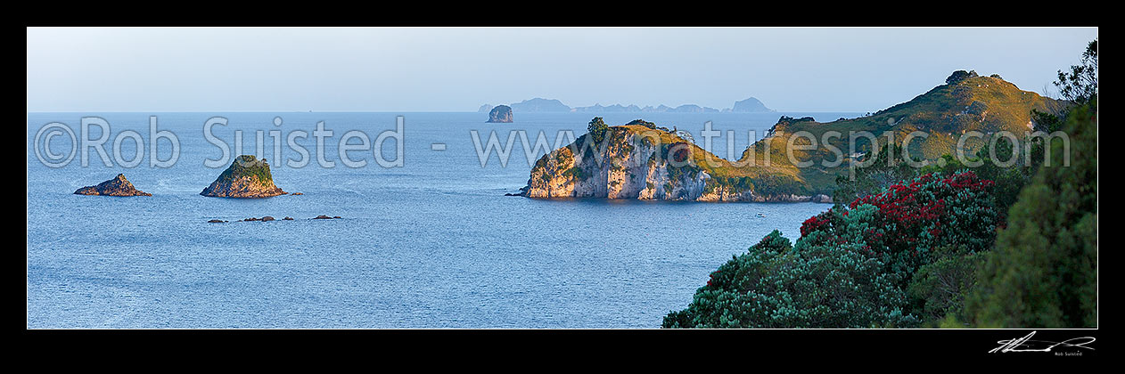 Image of Looking past Hereheretaura Point, Wigmore Pass and Te Karaka Island (left) to the Aldermen Islands beyond, with flowering pohutukawa tree. Panorama, Hahei, Coromandel Peninsula, Thames-Coromandel District, Waikato Region, New Zealand (NZ) stock photo image