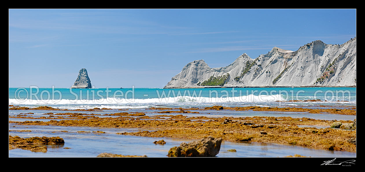 Image of Cape Kidnappers headland panorama from near Black Reef, Hawke's Bay, Hastings District, Hawke's Bay Region, New Zealand (NZ) stock photo image