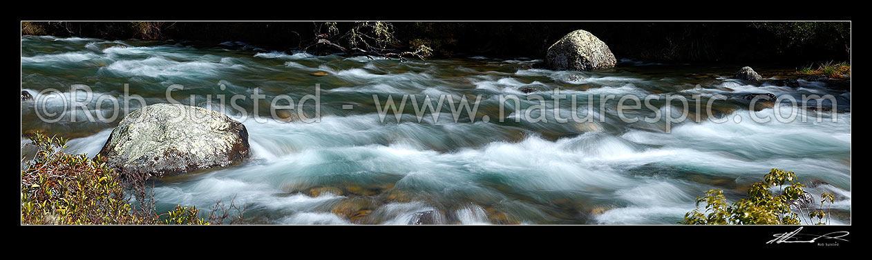 Image of Buller River passing through rapids and rocks near Lake Rotoiti and its headwaters. Panorama, Nelson Lakes National Park, Tasman District, Tasman Region, New Zealand (NZ) stock photo image