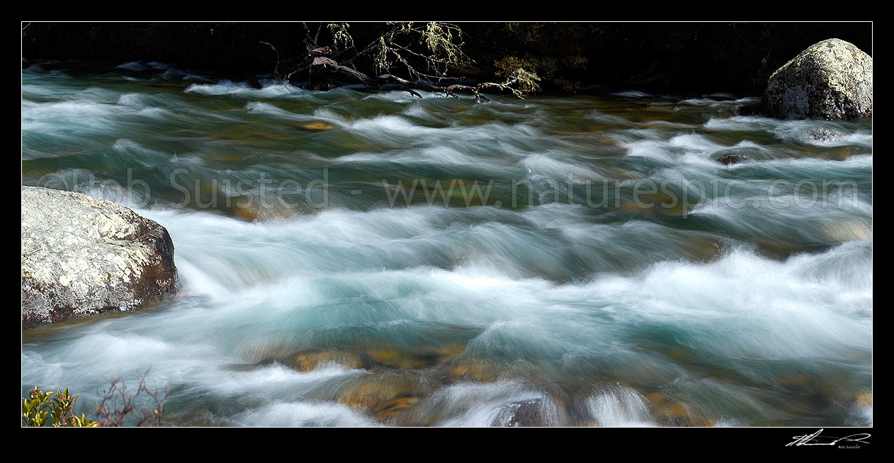 Image of Buller River passing through rapids and rocks near Lake Rotoiti and its headwaters. Panorama, Nelson Lakes National Park, Tasman District, Tasman Region, New Zealand (NZ) stock photo image